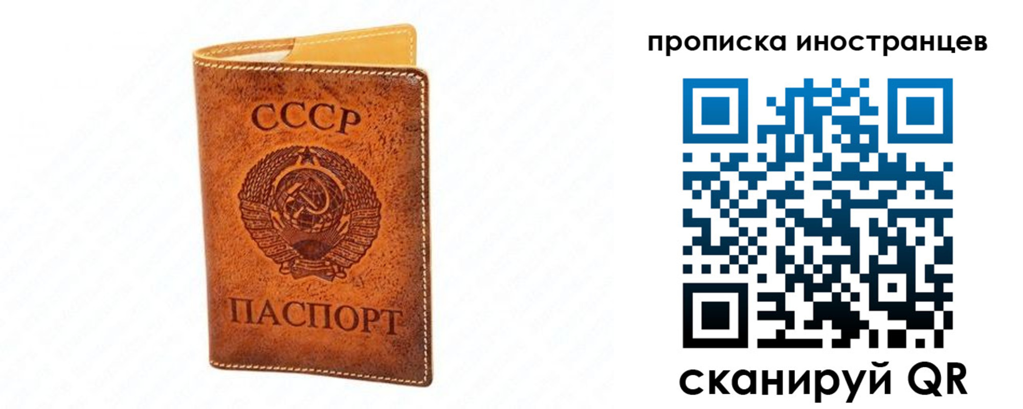 прописка для школы в Киришах